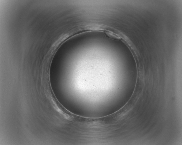 X0000082930433200702011244