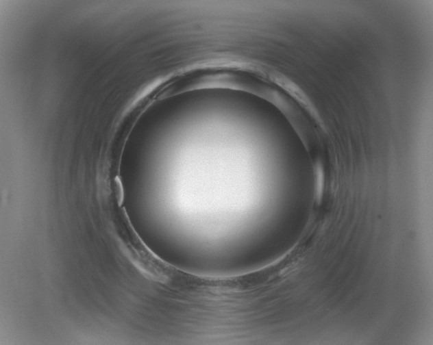 X0000082930436200702011244