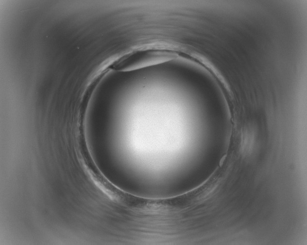 X0000082930437200702011244