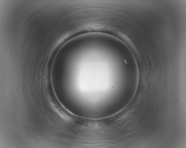 X0000082930439200702011244