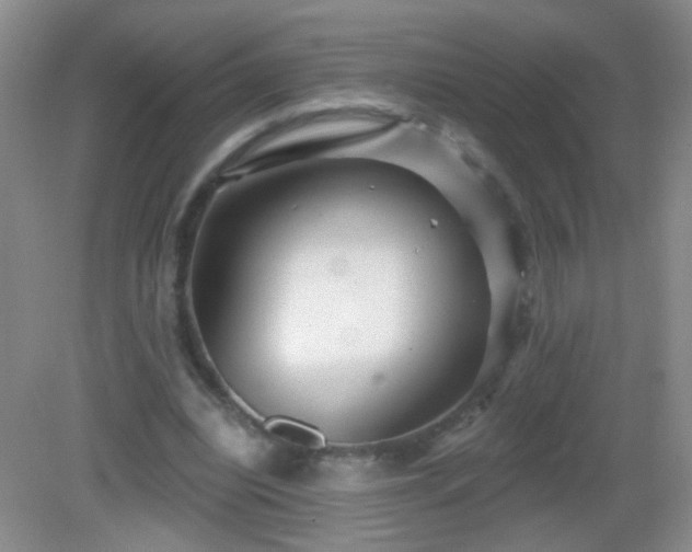 X0000082930440200702011244