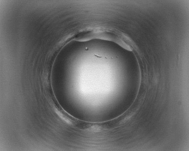 X0000082930441200702011244