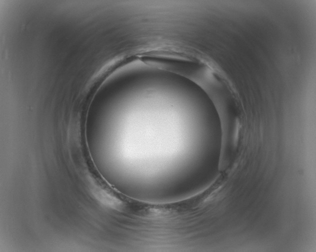 X0000082930442200702011244