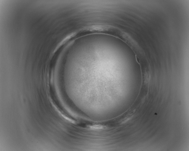 X0000082930444200702011244