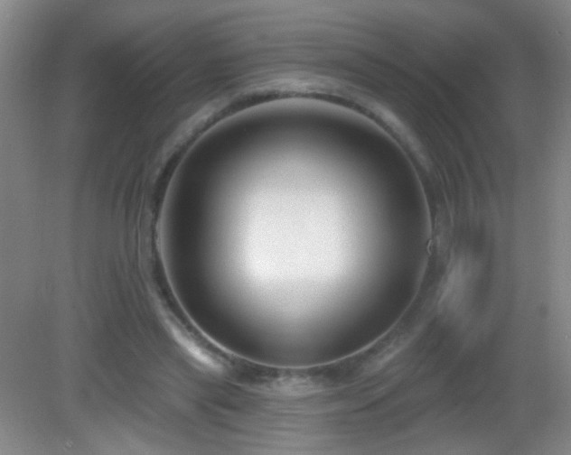 X0000082930445200702011244