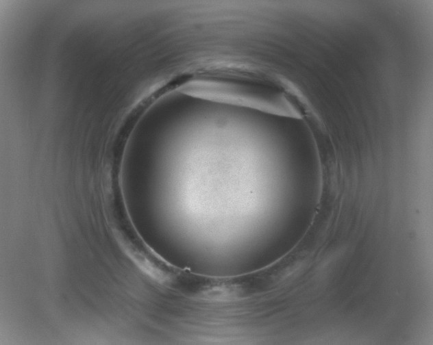 X0000082930447200702011244