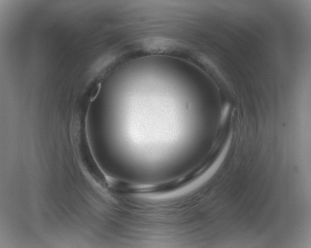 X0000082930448200702011244