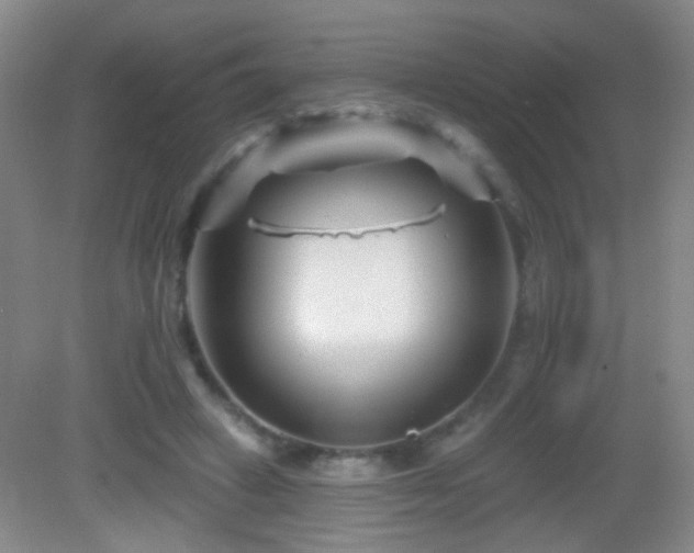 X0000082930449200702011244