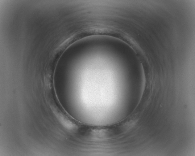 X0000082930450200702011244