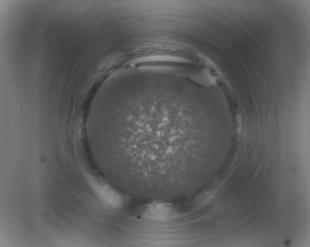 X0000082930451200702011244