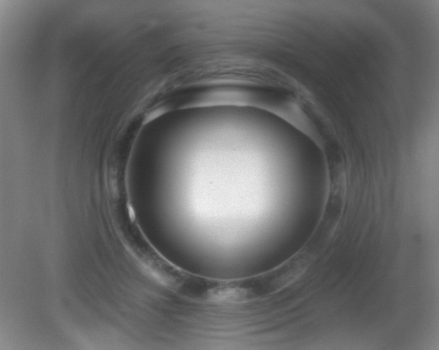 X0000082930452200702011244