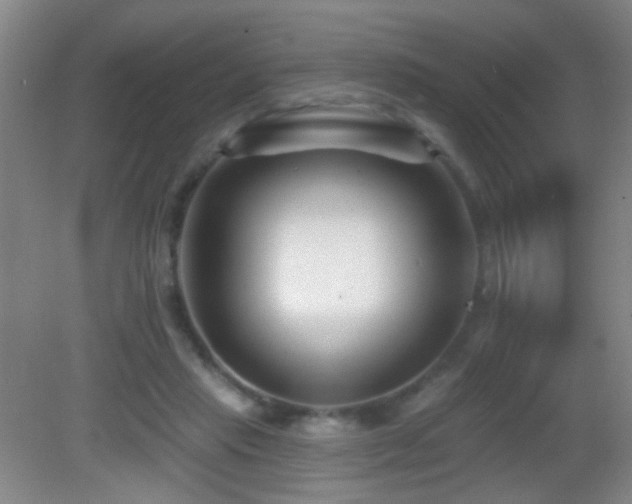 X0000082930453200702011244