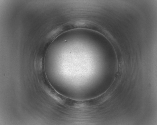 X0000082930454200702011244