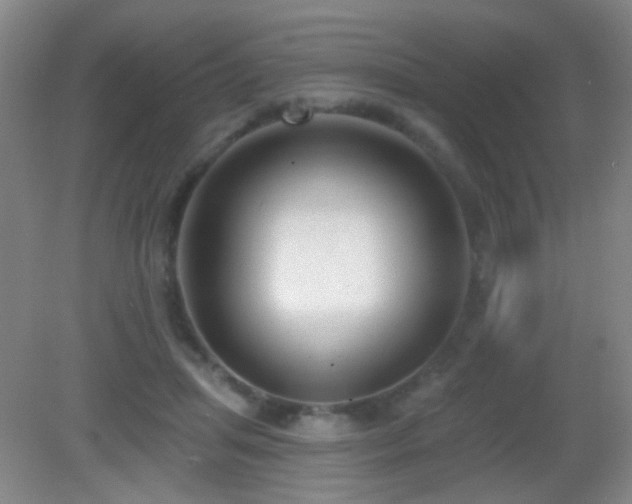 X0000082930455200702011244