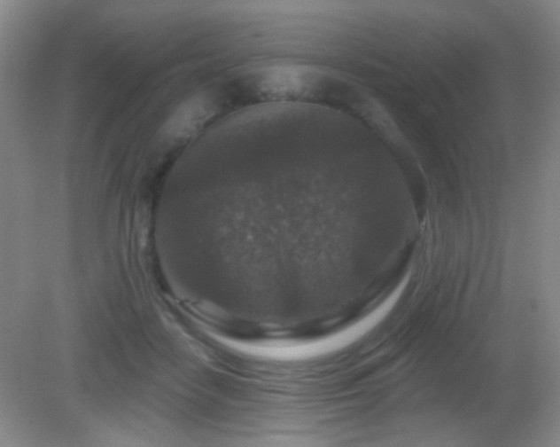 X0000082930458200702011244