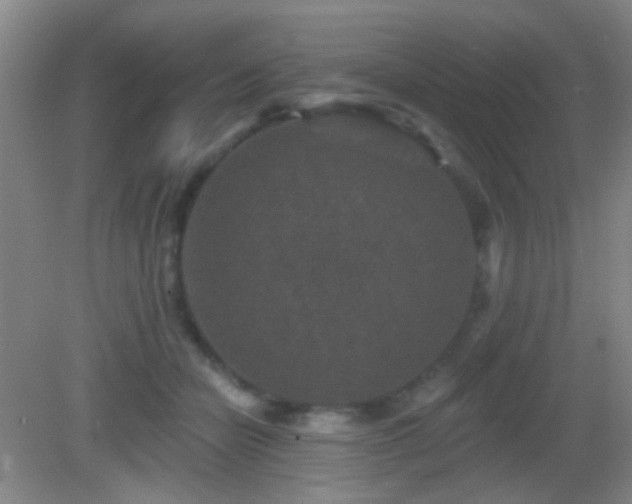 X0000082930462200702011244