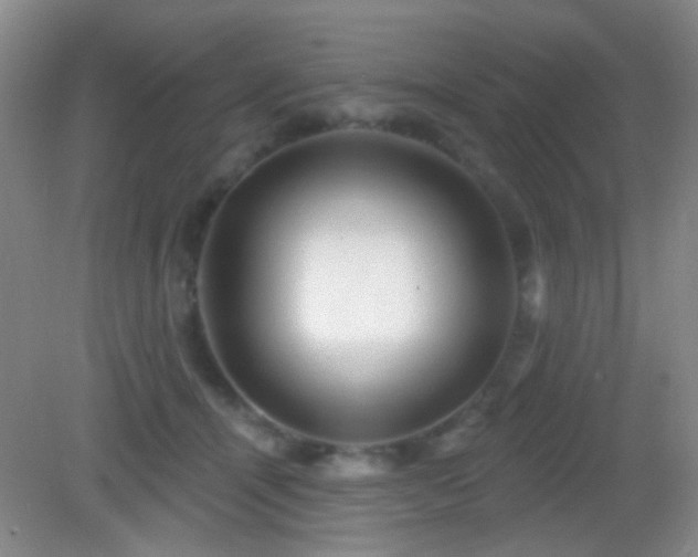 X0000082930464200702011244