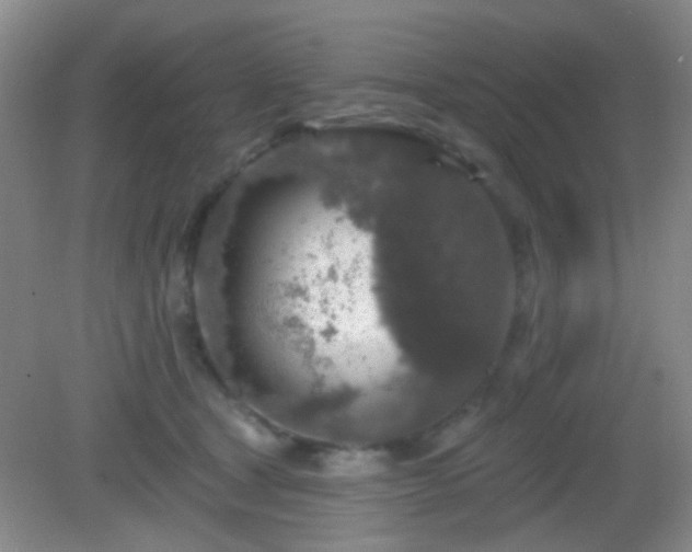 X0000082930465200702011244