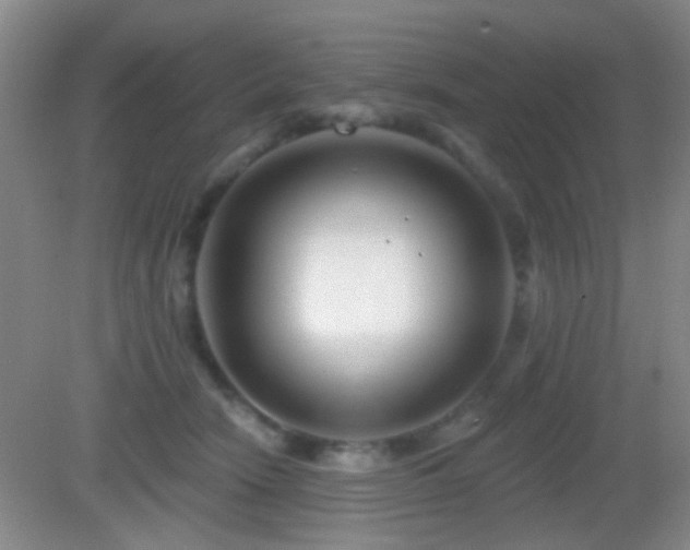 X0000082930466200702011244