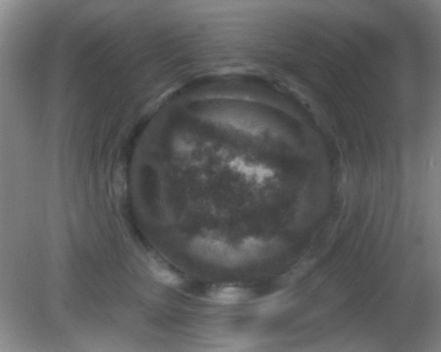 X0000082930467200702011244