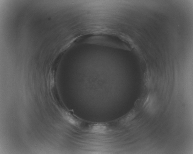 X0000082930471200702011244