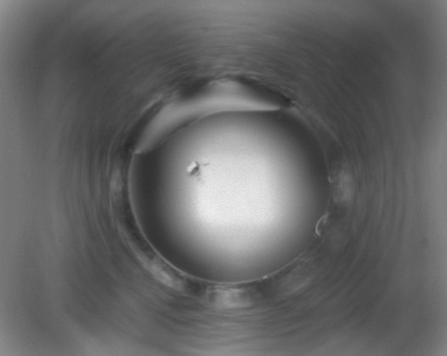 X0000082930472200702011244