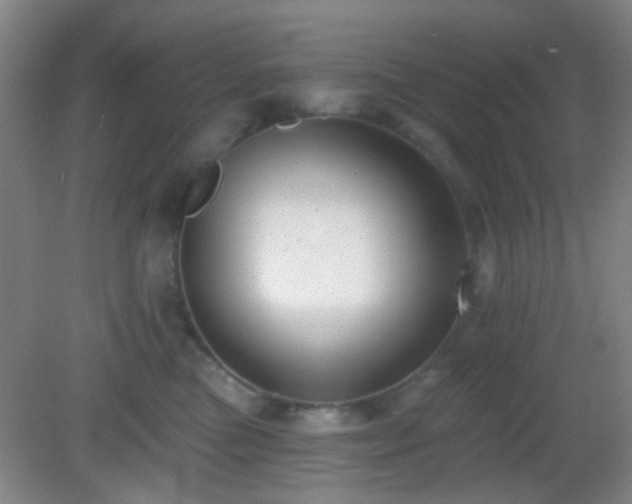 X0000082930473200702011244