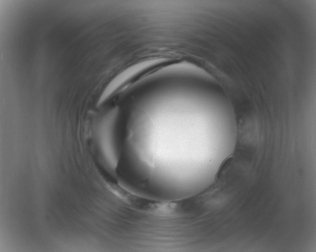 X0000082930474200702011244