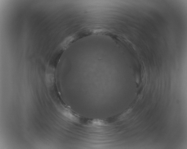 X0000082930475200702011244