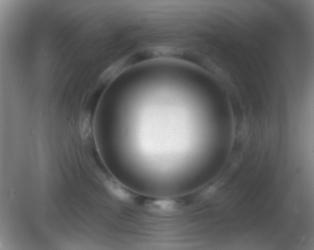 X0000082930478200702011244