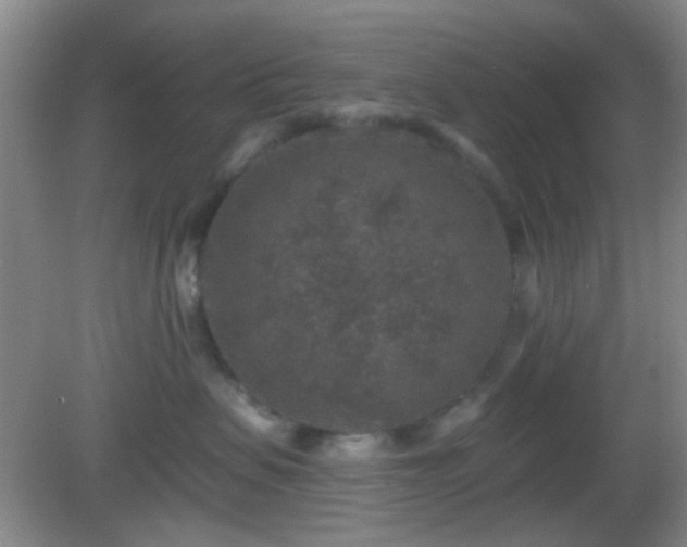 X0000082930479200702011244