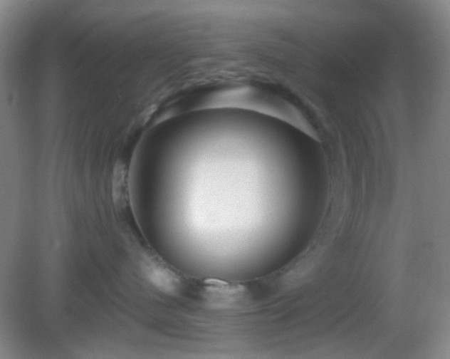 X0000082930480200702011244