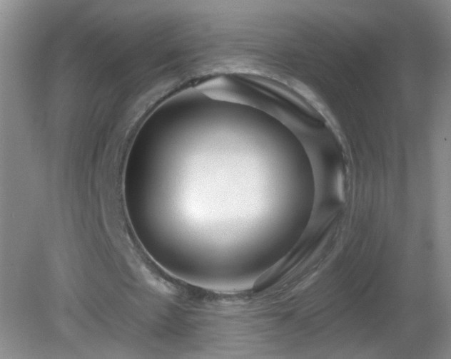 X0000082930481200702011244