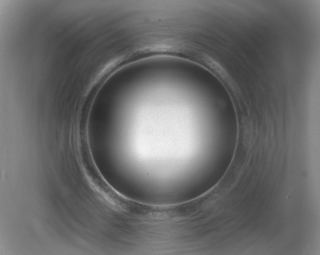 X0000082930482200702011244