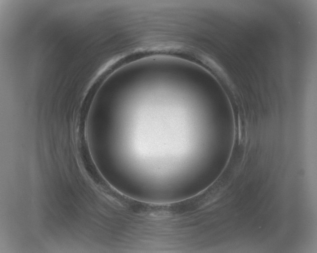 X0000082930483200702011244