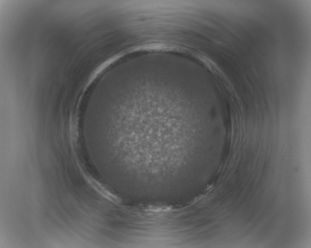 X0000082930484200702011244