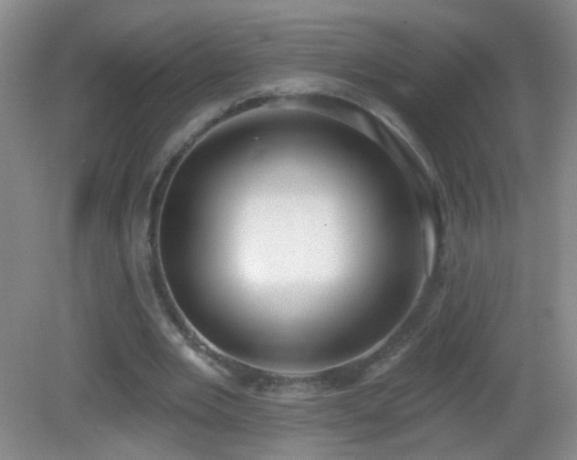 X0000082930485200702011244