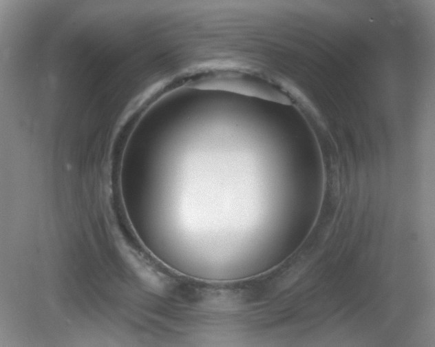 X0000082930486200702011244