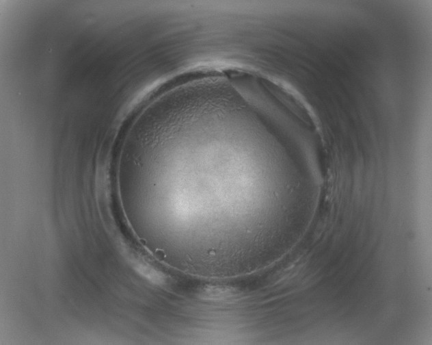 X0000082930487200702011244