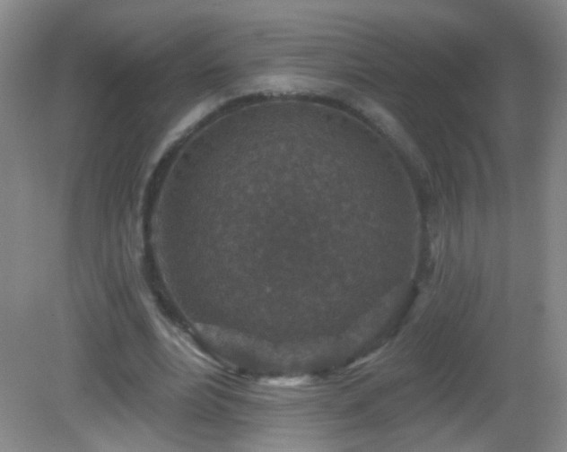 X0000082930488200702011244