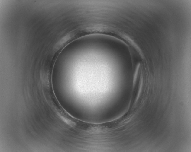 X0000082930489200702011244