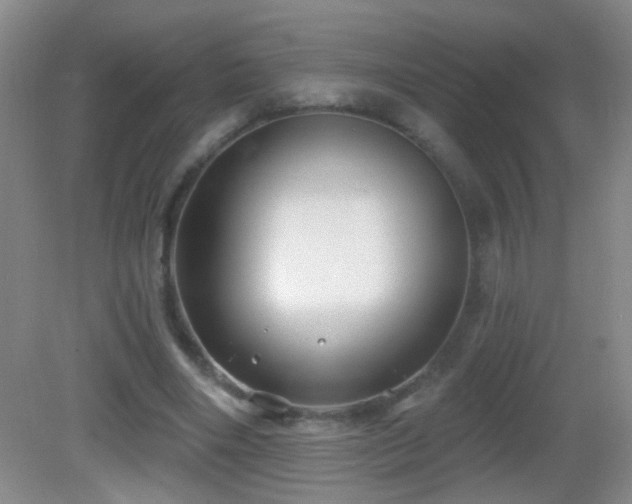 X0000082930490200702011243