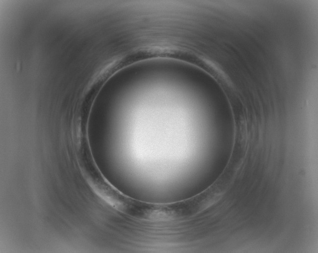 X0000082930494200702011243