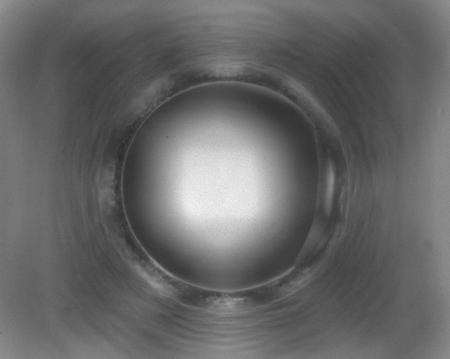 X0000082930497200702011243