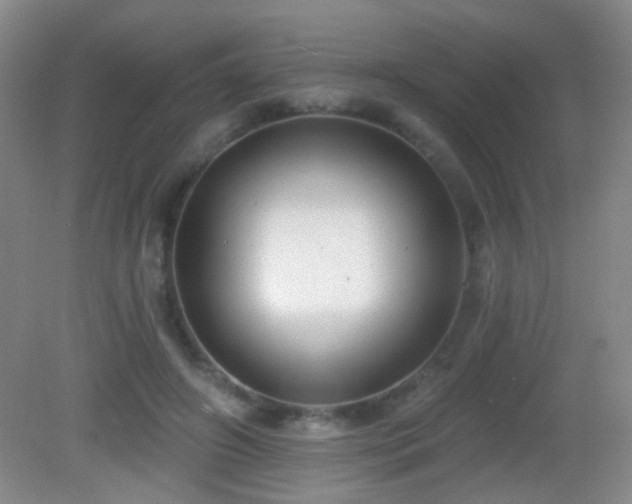 X0000082930498200702011243