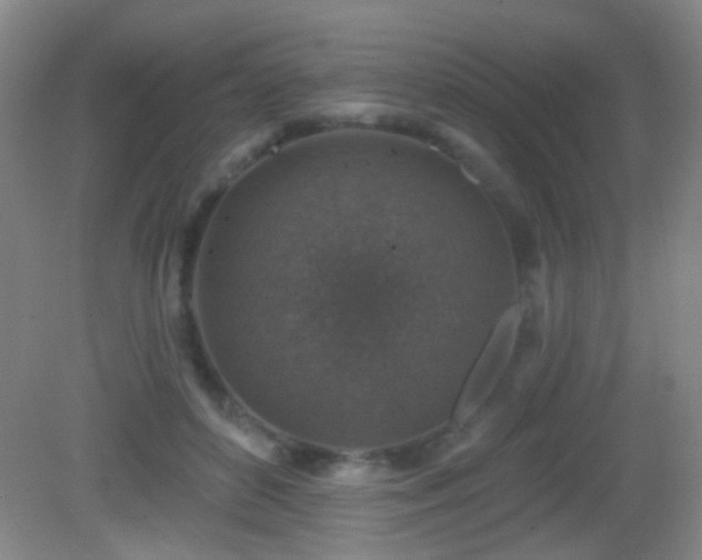 X0000082930504200702011243