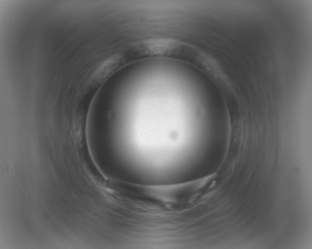 X0000082930505200702011243