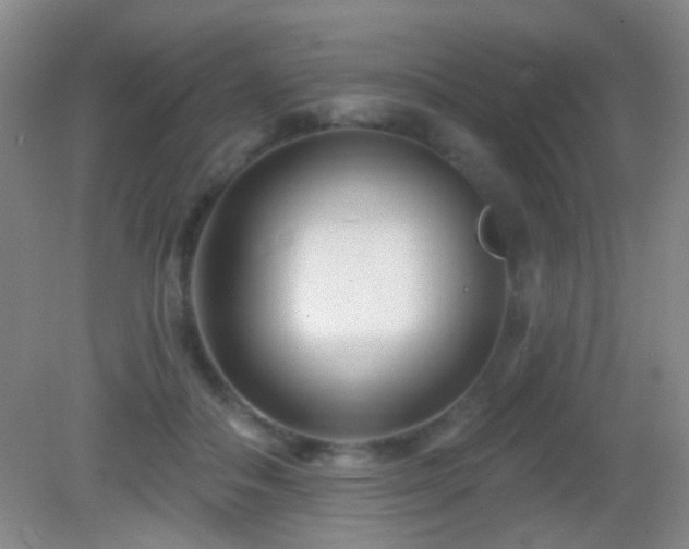 X0000082930506200702011243