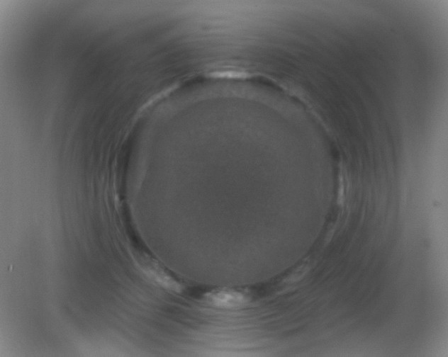 X0000082930512200702011243