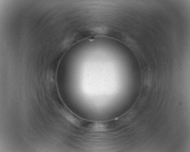 X0000082930518200702011243